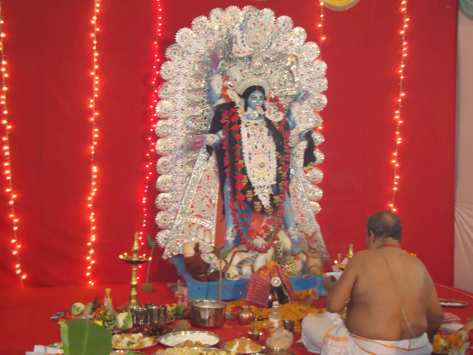 New Bengal Club Durga Puja 2009 - photo 53