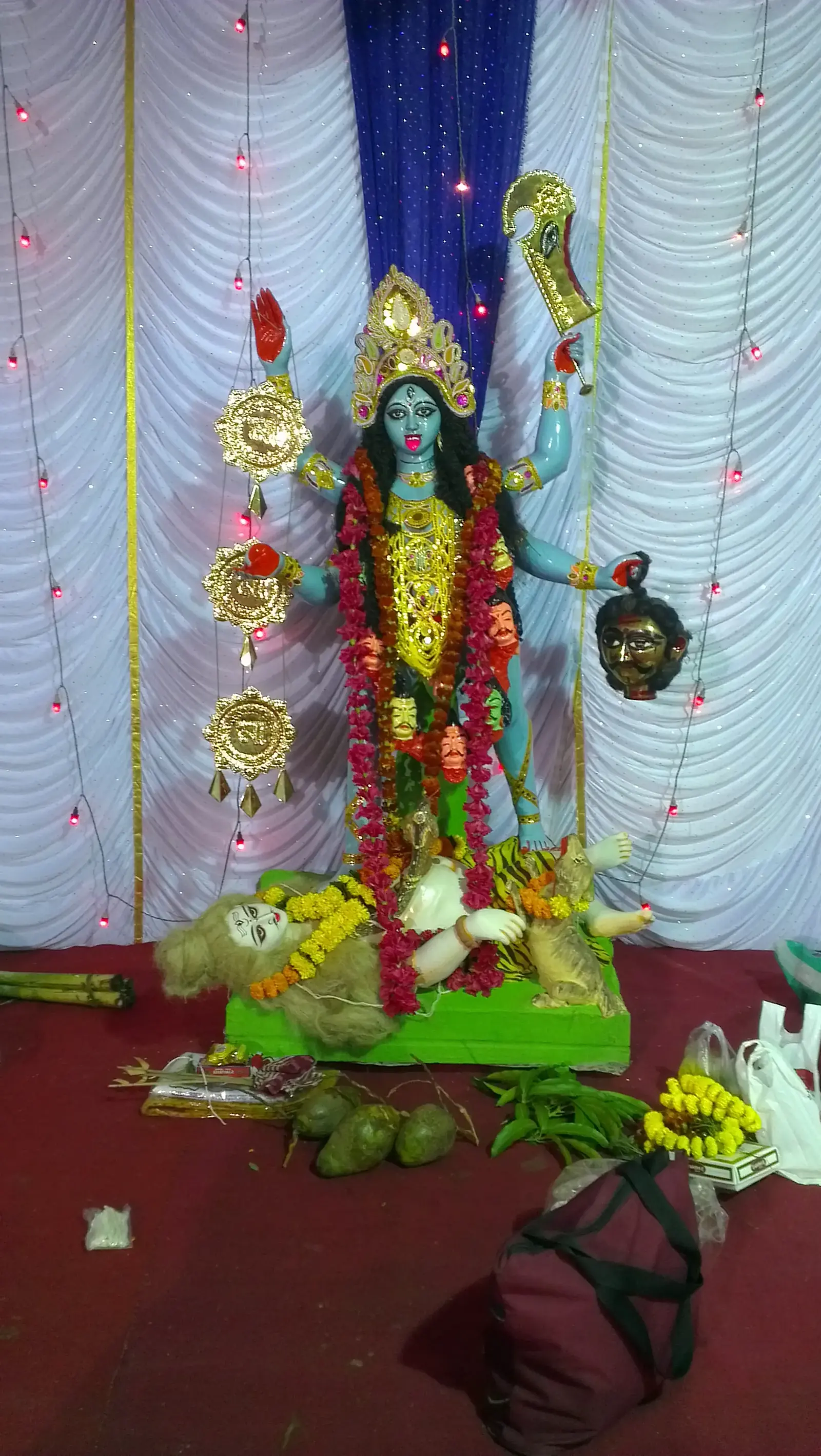 New Bengal Club Durga Puja 2012 - photo 1