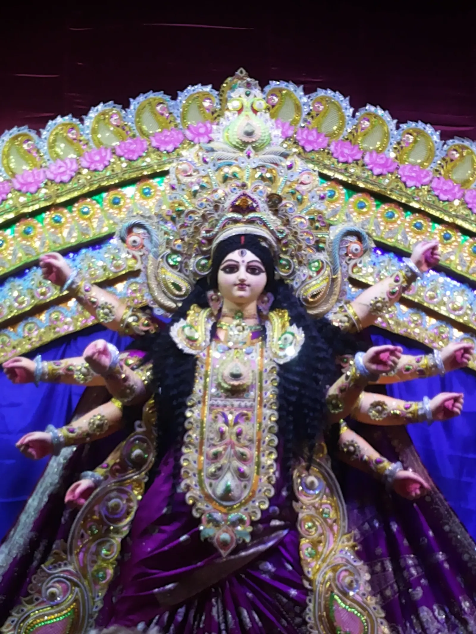 New Bengal Club Durga Puja 2014 - photo 1