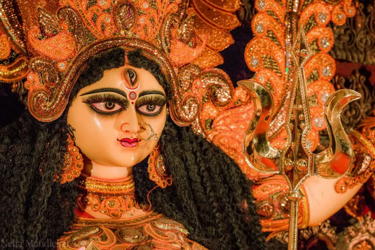 New Bengal Club Durga Puja 2017 - photo 13