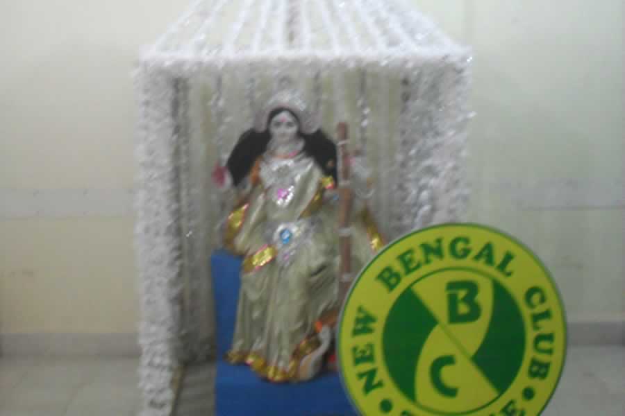 Saraswati Puja - 2012