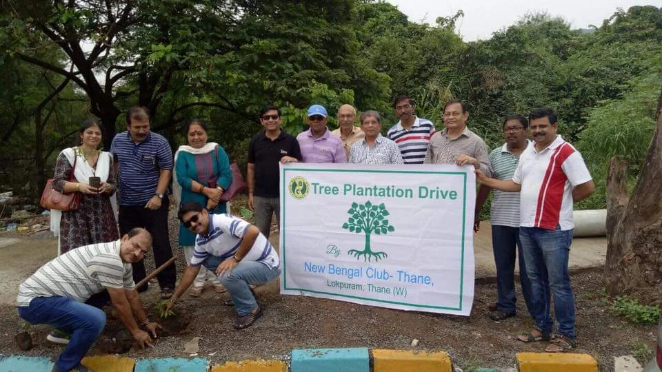 Tree Plantation Drive